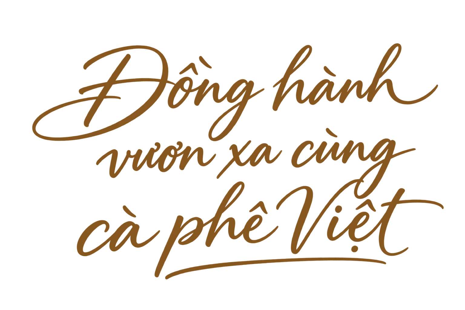 Đồng hành vươn xa cùng cà phê Việt
