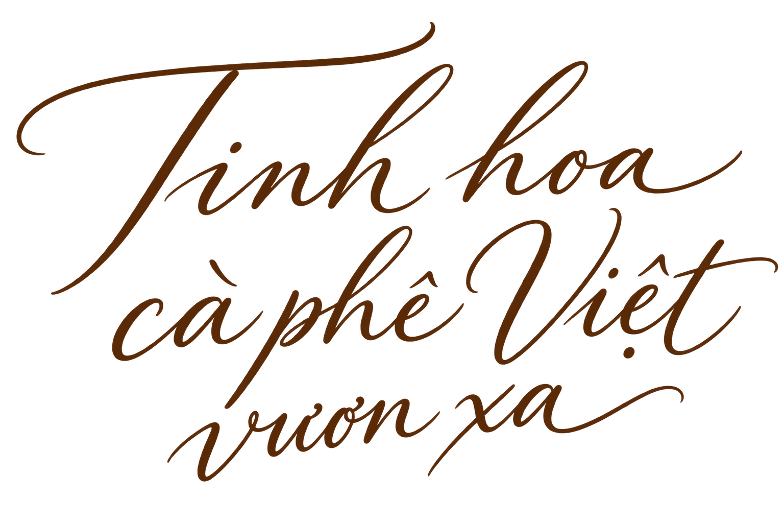 Tinh hoa cà phê Việt vươn xa